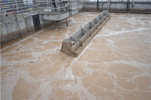 Sequence Batch Reactor Food Processing SBR Wastewater Treatment