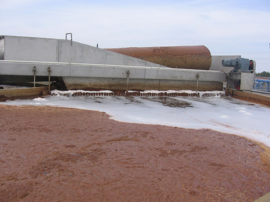 Wastewater Dissolved Air Flotation System For Daf Water Treatment CE / ISO