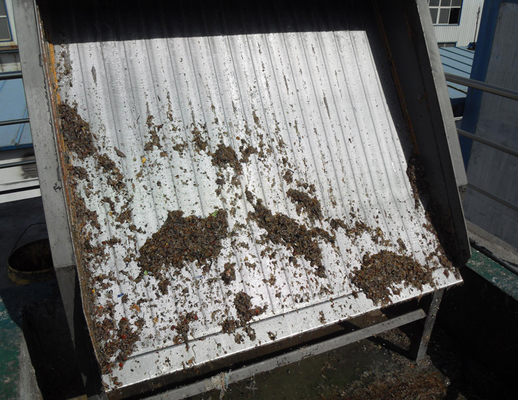 CSG model static sieve Wastewater Bar Screen Mechanical Grille Machine Decontamination