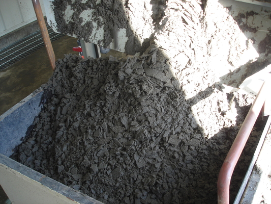 Large Throughput Horizontal Sludge Dewatering Equipment With Solid liquid Separation